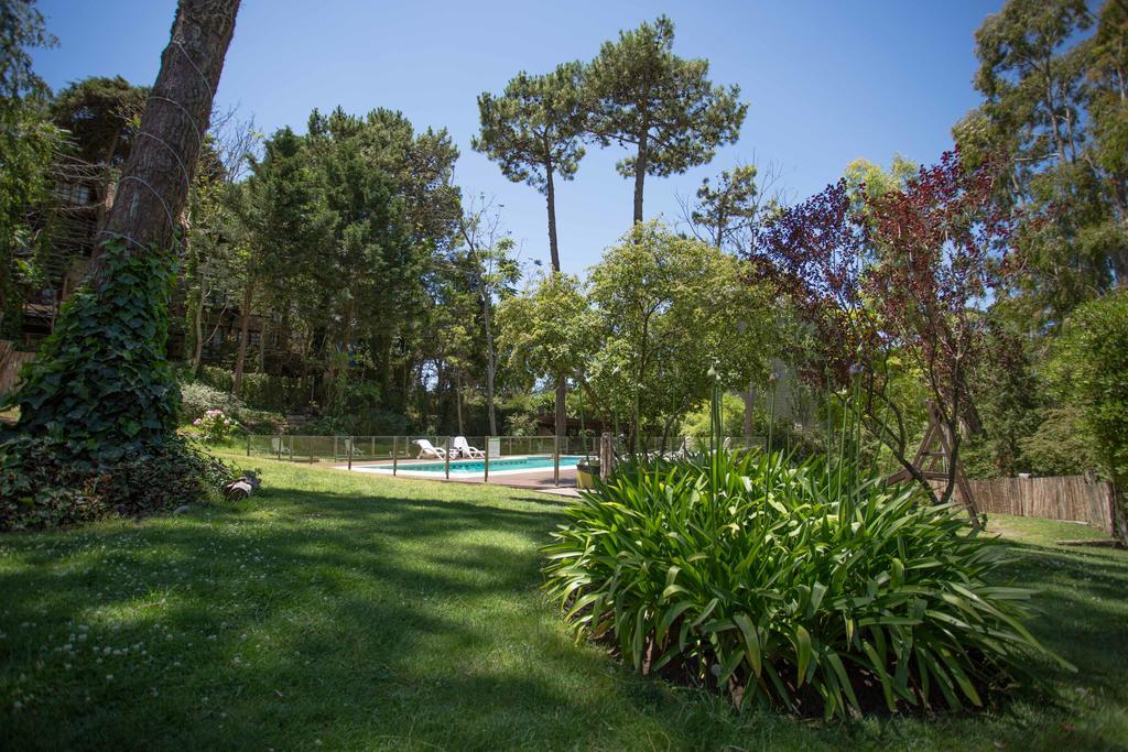 Posada Del Bosque By Hs Carilo Extérieur photo