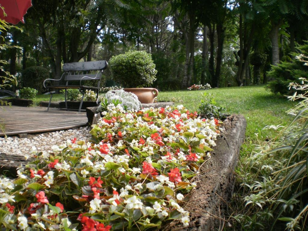 Posada Del Bosque By Hs Carilo Extérieur photo